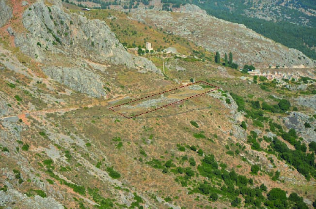 stadium 3