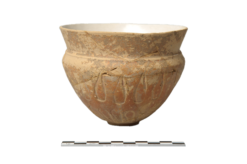 dries pottery